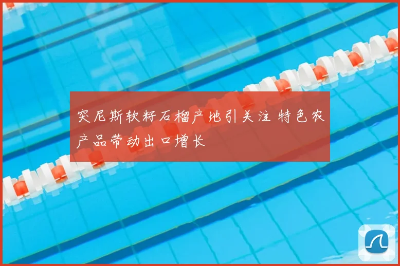 突尼斯软籽石榴产地引关注 特色农产品带动出口增长