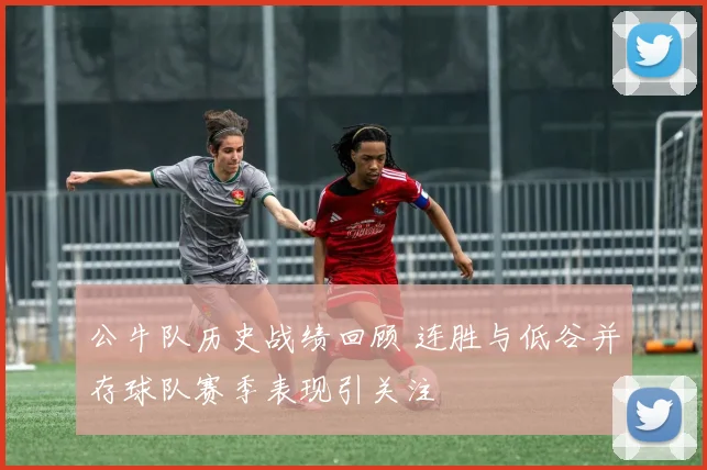 公牛队历史战绩回顾 连胜与低谷并存球队赛季表现引关注