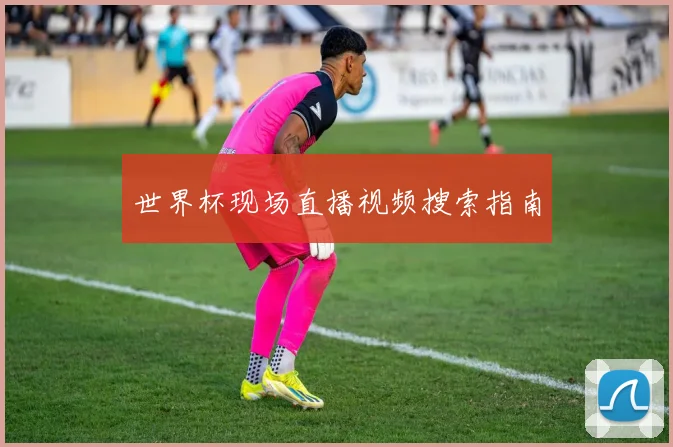 世界杯现场直播视频搜索指南