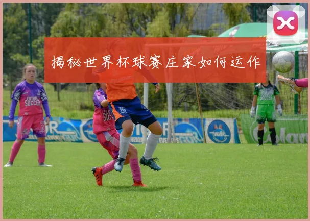 揭秘世界杯球赛庄家如何运作