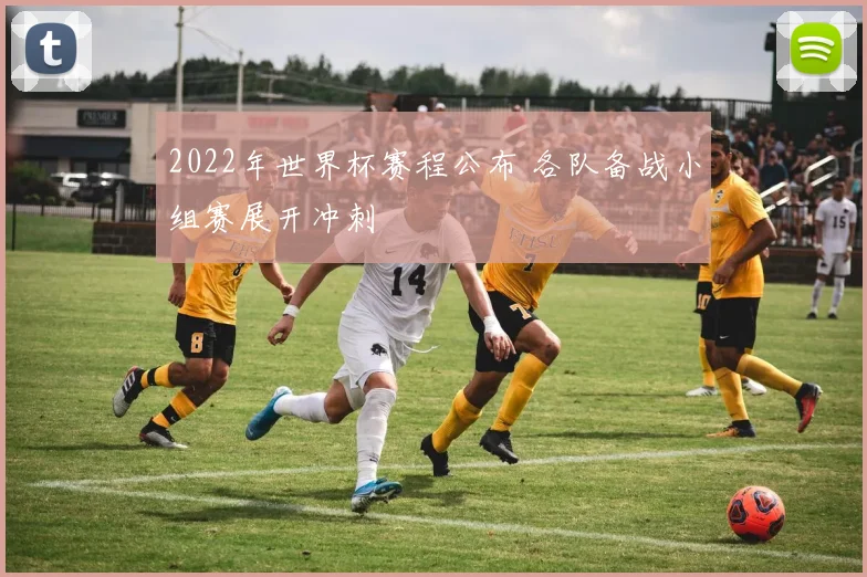 2022年世界杯赛程公布 各队备战小组赛展开冲刺