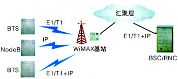 陶瓷元件