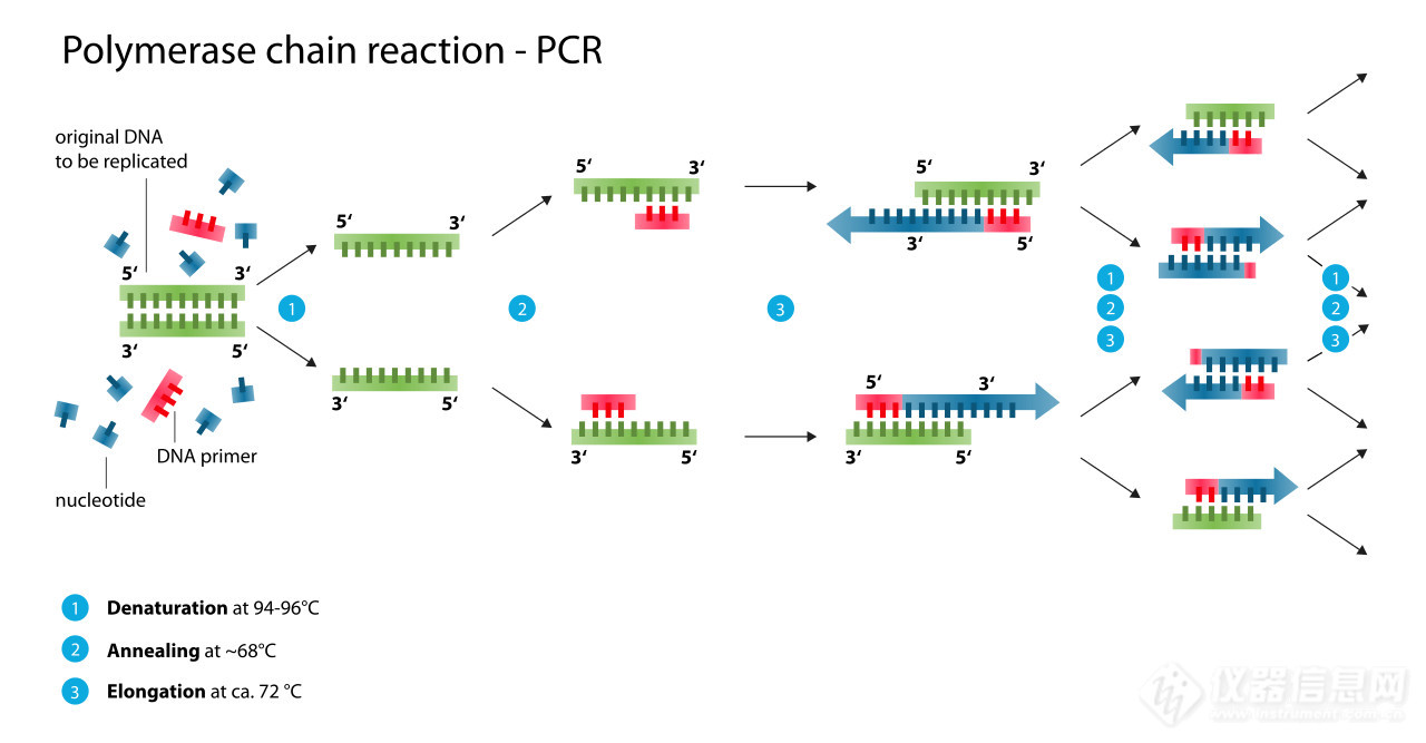 pcr扩增仪工作原理